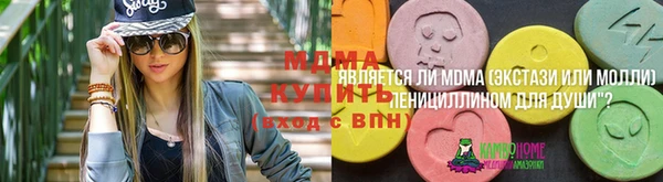 ГАЛЛЮЦИНОГЕННЫЕ ГРИБЫ Алексин