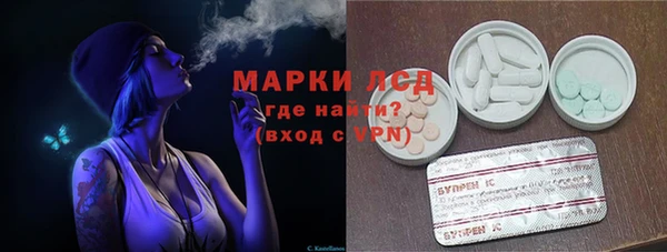 ГАЛЛЮЦИНОГЕННЫЕ ГРИБЫ Алексин