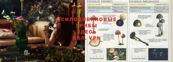 первитин Абдулино