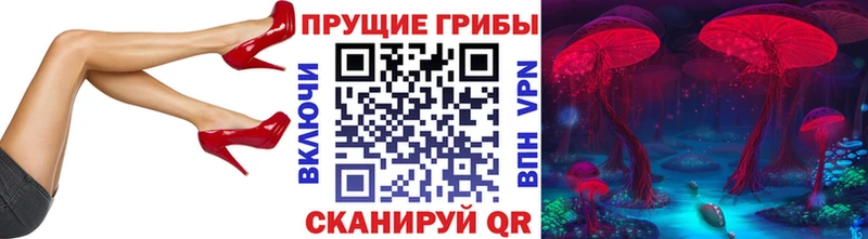 Псилоцибиновые грибы Magic Shrooms  купить   Тейково 