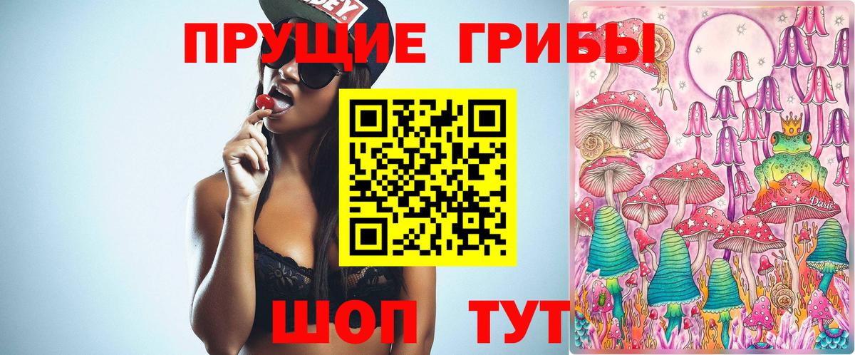 Псилоцибиновые грибы Cubensis Тейково