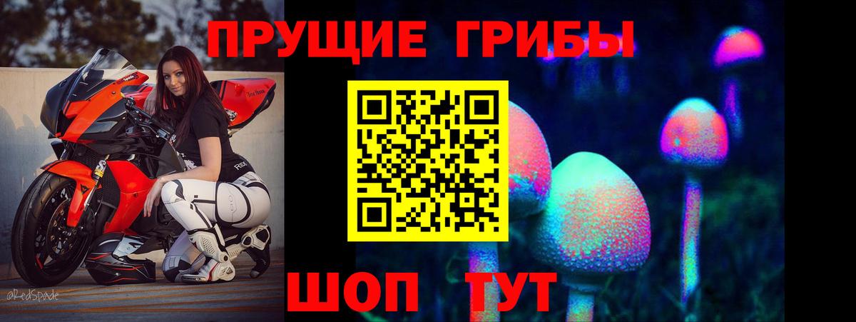 Псилоцибиновые грибы Magic Shrooms  Псилоцибиновые грибы Psilocybe  Тейково  Вход с VPN 