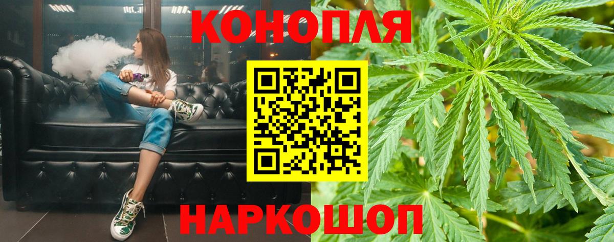 Каннабис план Тейково
